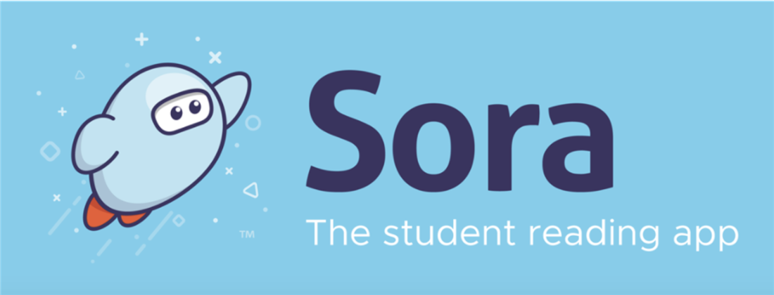 Sora banner 